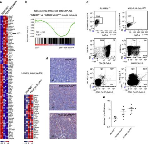 Zeb2 Overexpression Leads To Increased Expression Of Immaturestem Cell