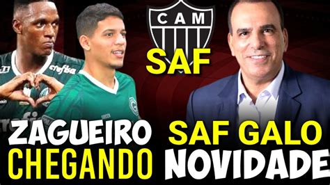 Saf Do Galo Grande Novidade Decisiva Refor Os Para Zaga Galo