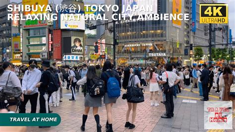 K Hdr Japan Travel Night Walk In Shibuya Tokyo Japan Relaxing