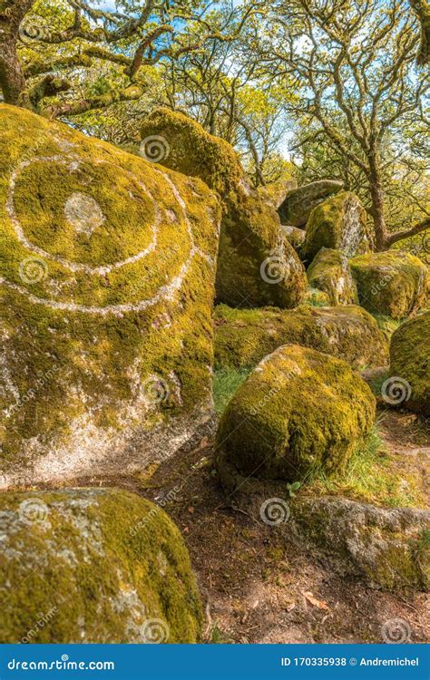 Wistman S Wood National Nature Reserve Mystic High Altitude Oakwood