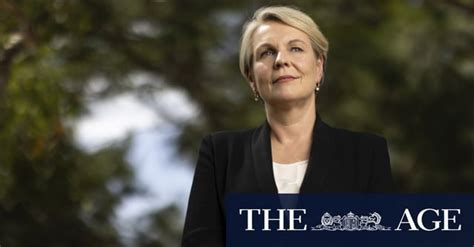 Tanya Plibersek On 2019 Leadership Contest “if I Had Run I Would Have