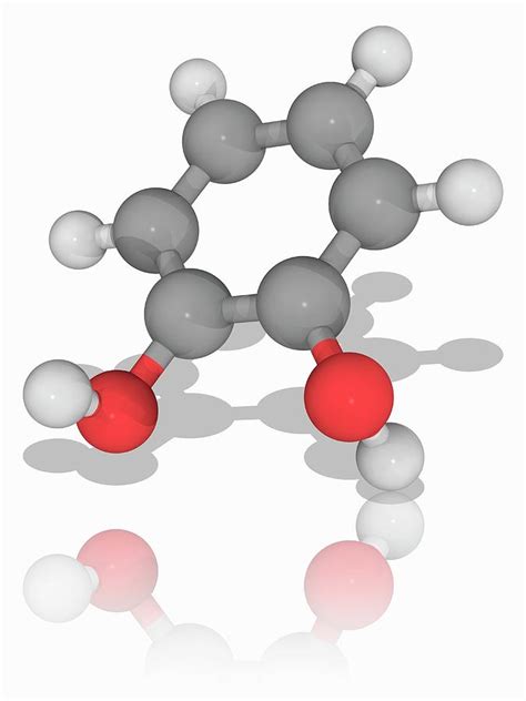 Catechol Organic Compound Molecule Photograph By Laguna Designscience