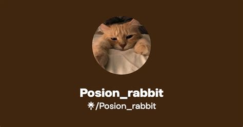 Posion Rabbit Instagram Tiktok Linktree