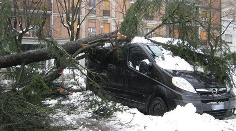 Neve A Carpi Albero Cade Su Un Auto Sabato Scuole Aperte