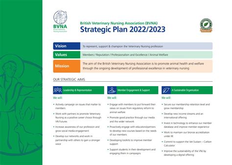 Bvna Strategic Plan British Veterinary Nursing