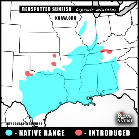 Lepomis Range Maps Koaw Nature