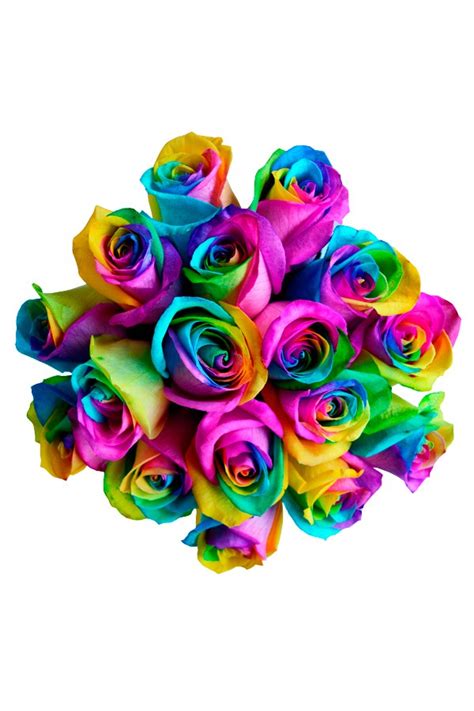 Rainbow Roses — Pike Place Flowers