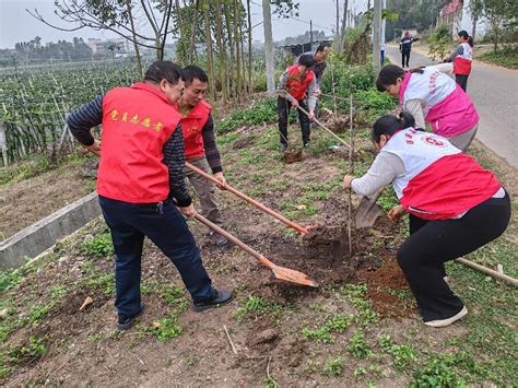 洋青镇：以“党建红”赋能“生态绿”，绘就绿美新画卷