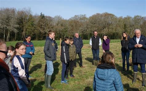 Fouesnant Les Jeunes Lus Ont Plant Des Pommiers Penfoulic Le