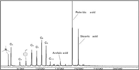 Py Gc Ms Chromatogram At Mz 60 Of Specimen Hgk401 Download