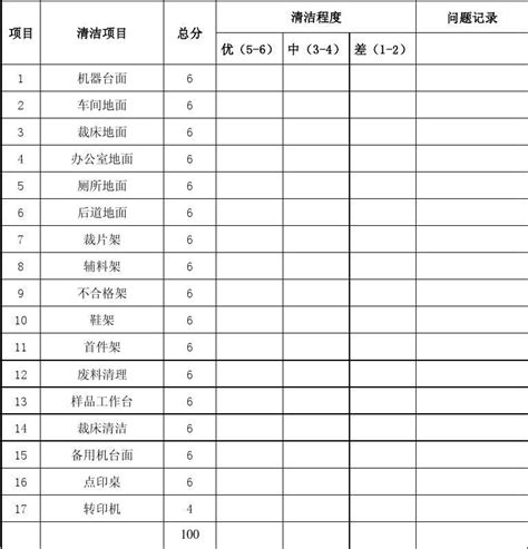 大清洁检查表word文档在线阅读与下载免费文档