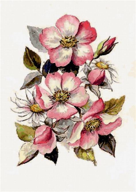 Картинки по запросу цветок шиповника рисунок | Flower art, Flower art ...