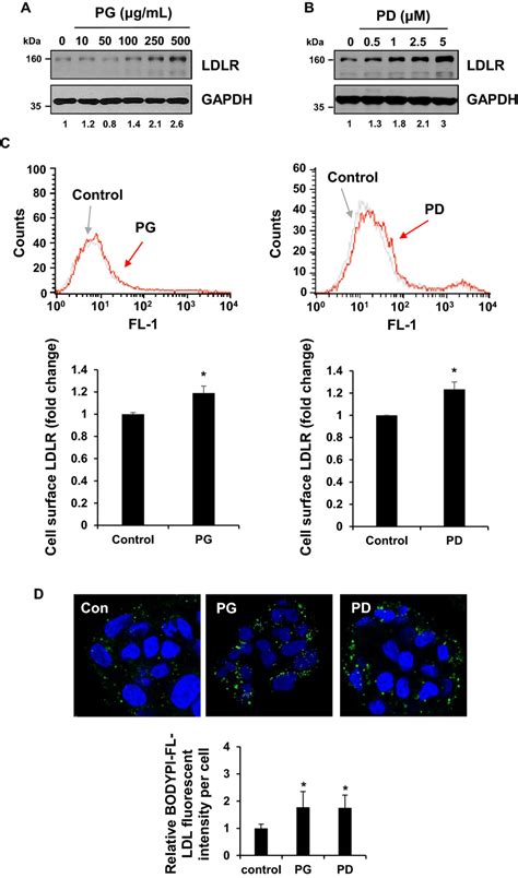 Pg And Pd Induce Ldlr Expression And Ldl C Uptake In Hepg Cells A