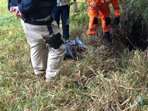 Ossada humana é encontrada espalhada em grota às margens da BR 365 em