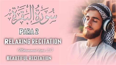 Para 2 Fast Beautiful Recitation Of Quran Tilawat One Para In 30