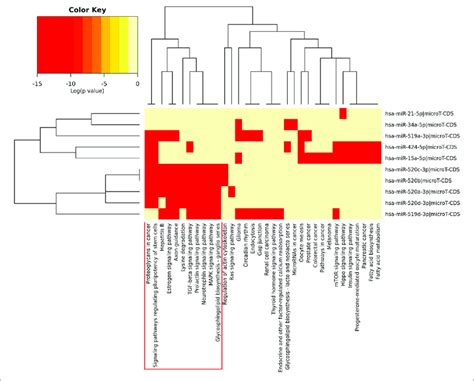 Heatmap Of Pathway Enrichment Analysis Of The Hub Dems Download