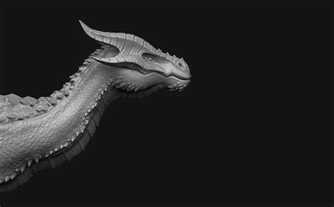 Dragon Head 3 3d Model Cgtrader