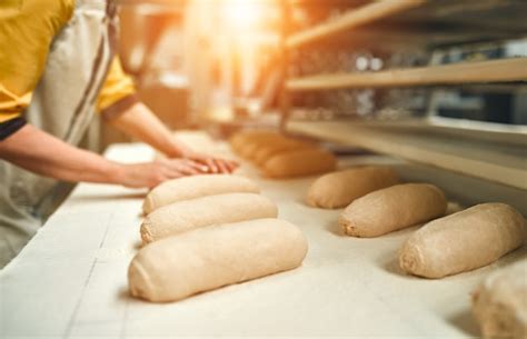 Fábrica De Alimentos De Panadería De Pan Modernización De Plantas