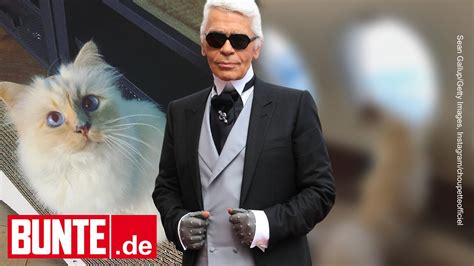 Karl Lagerfeld Champagner Privatjet Das Luxuri Se Leben Seiner