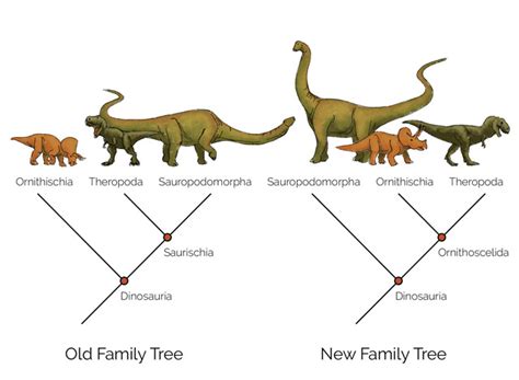 Redefining Dinosaurs: Paleontologists are Shaking the Dinosaur Family ...