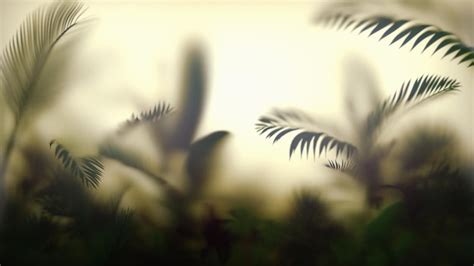 Premium Photo Blurred Tropic Leaves Behind Frosted Glass