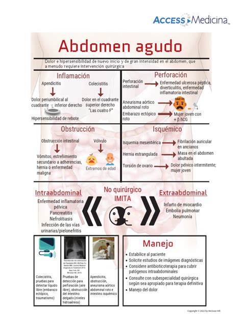 Abdomen Agudo Infografia Pdf Isquemia Enfermedades Y Trastornos