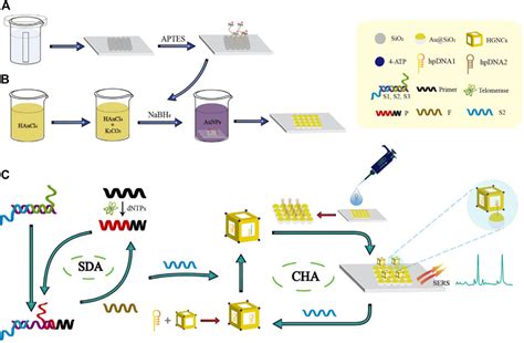 Frontiers Editorial Advanced Nanobiosensors For Non Invasive Disease Diagnosis