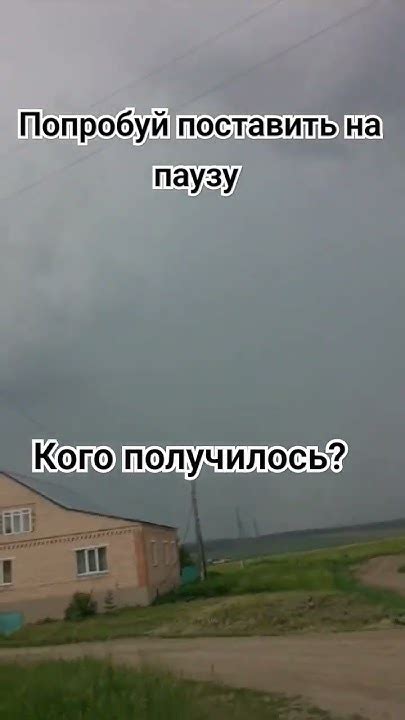 поставь на паузу. - YouTube