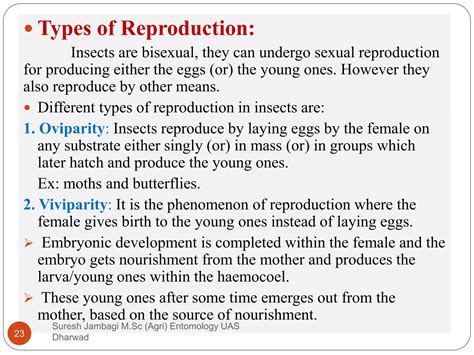 Reproductive System In Insect And Its Types PPT