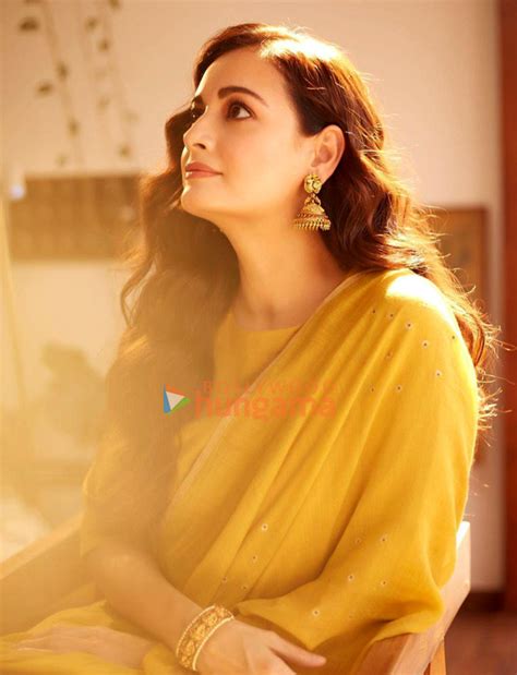 Dia Mirza Photos Images Hd Wallpapers Dia Mirza Hd Images Photos