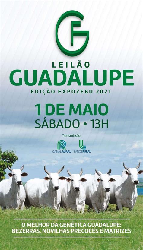 Leil O Oficial Expozebu Guadalupe By Abcz Issuu