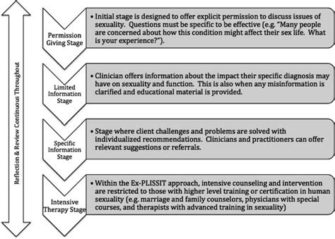 Visual description of the Ex-PLISST model. From "The Extended PLISSIT... | Download Scientific ...