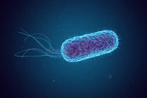 Escherichia Coli E Coli Bakterium Unter Mikroskop Stock Abbildung