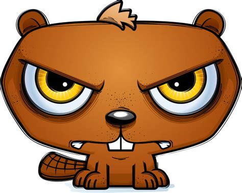 Angry Beavers Cartoons Illustrations Royalty Free Vector Graphics