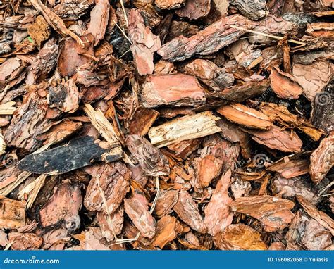 Background Of Wood Mulch Ground With Large Pieces Of Tree Bark Stock