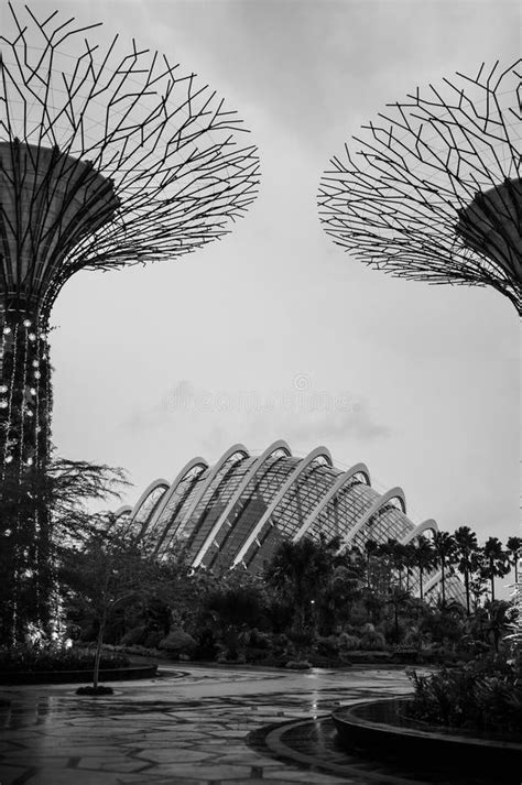 Modern Design Singapore Garden By The Bay Botanical Garden Editorial