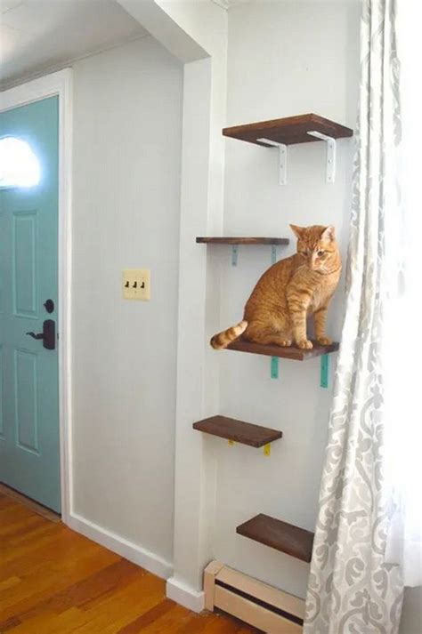 10 Simple Diy Cat Wall Ideas For Interior Susie Harris