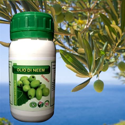 Olio Di Neem Insetticida Naturale