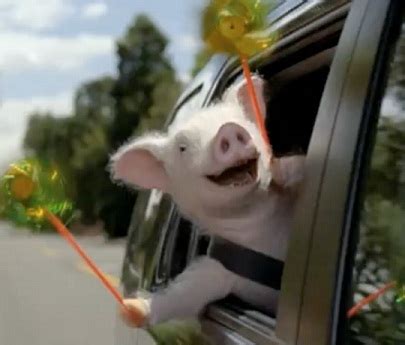 Maxwell the Geico Pig - Comedy World by Youtube Wiki