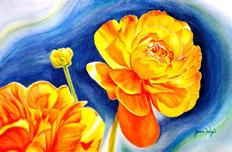 Yellow Orange Ranunculus Watercolor Flower Painting Ranunculus