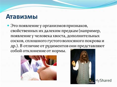 Презентация на тему: "Эволюция органического мира. Доказательства ...