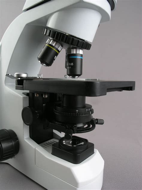 Amscope X X Professional Infinity Trinocular Compound Led Microscope