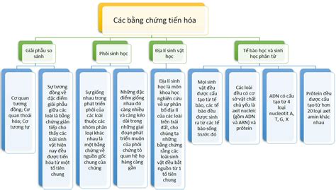 Sơ đồ tư duy Sinh học 12 Bài 24 Các bằng chứng tiến hóa