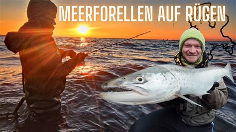 Riesen Meerforellen auf Rügen Winterangeln extrem YouTube