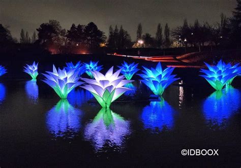 Les Sentiers Lumineux De Noël La Magie Vous Donne Rendez Vous Au Parc