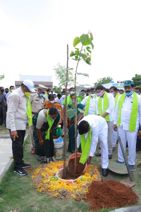 Energy Minister G Jagadish Reddy Participated In 6th Phase Haritha