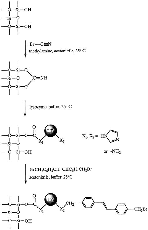 Cyanogen Bromide Activation Of Quartz Silica Surface And Following It