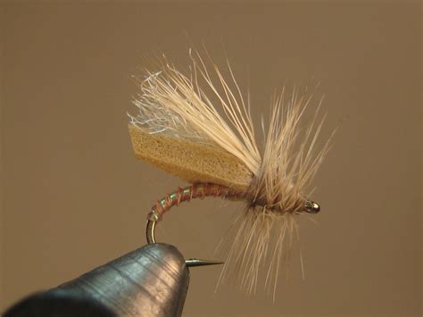 Foam Caddis Fly Pattern