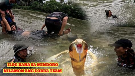 MAY MUNTIK MAPAHAMAK SA PAG HUNTING NG KING COBRA TOLCOBRA YouTube