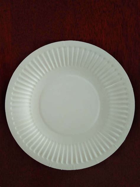 Disposable Paper Plate Inch 9 White Paper Plate And Round Paper Plate